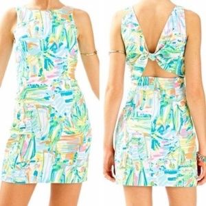 Lilly Pulitzer Courtney shift NWT